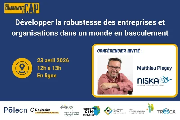 Visuel de l'activité Pôle CN sur la robustesse des organisations